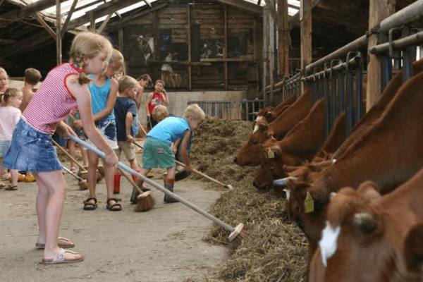 Wat te doen in Brabant met kind; 45 leuke uitjes en activiteiten - Reisliefde